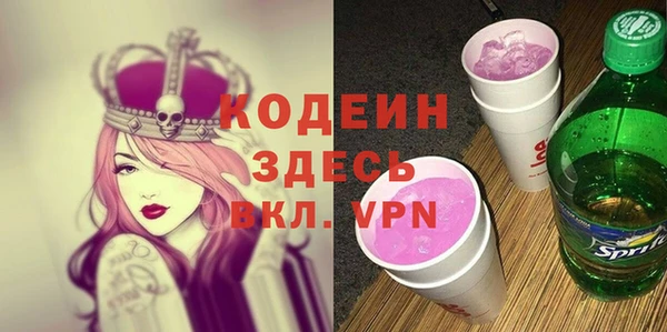 метадон Алексин