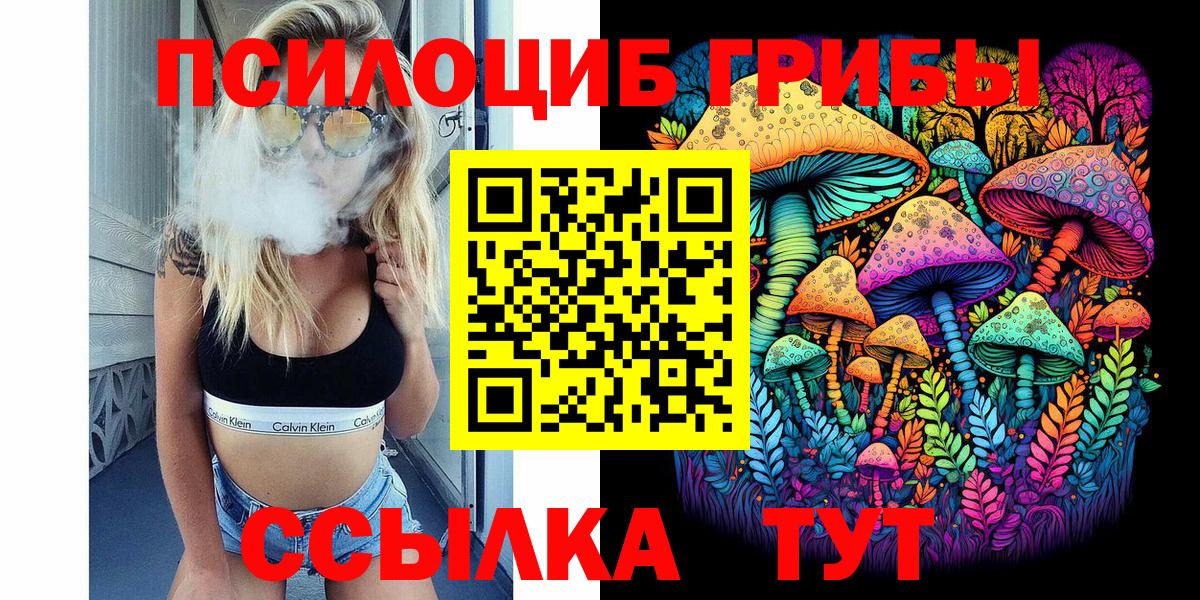 Галлюциногенные грибы Cubensis Находка