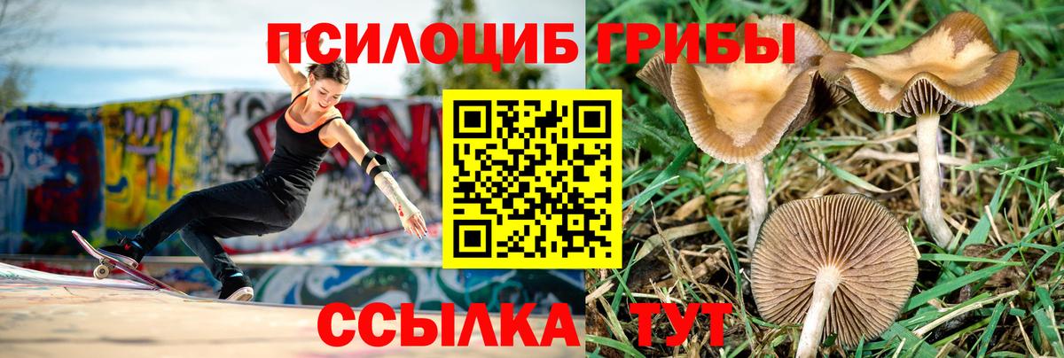 Галлюциногенные грибы Magic Shrooms  Вход с VPN  Псилоцибиновые грибы GOLDEN TEACHER  Находка 